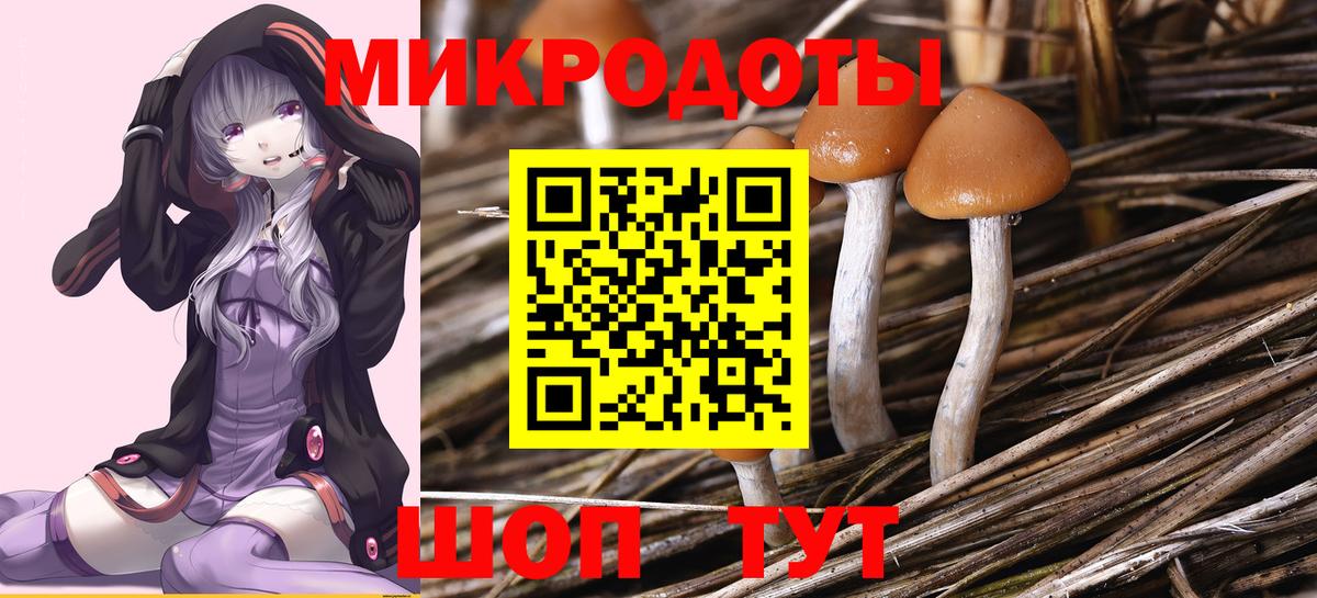 продажа наркотиков  Вход с VPN  Камышлов  Галлюциногенные грибы MAGIC MUSHROOMS 